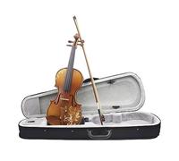 4/4 Violin Acoustic Solid Carved Wood Violino Basswood Violin Kits With Case Bow Beginners Instrument Accessories (Color : Set 2)