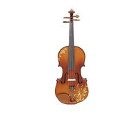 4/4 Violin Acoustic Solid Wood Violin Fiddle Kits With Case Bow Beginners Musical Instrument