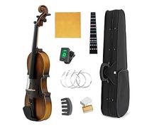 4/4 Violin Exquisite Sub-gloss Stylish Violin Beginners Stringed Music Instrument (Color : Violin Set)