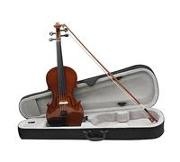 4/4 Violin Solid Wood Acoustic Violin Basswood Violin Kits With Case Bow Fiddle Beginners Instrument (Color : Violin)