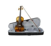 4/4 Violin Solid Wood Matte Electric Acoustic Violin Fiddle With Case Bow Accessories Professional Stringed Instruments