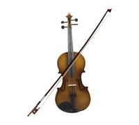 4/4 Violin,Violin for Beginners,Kids,Adults,with Case Kits,Wooden Stringed Musical Instruments Play,Party Favor