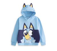 Bluey Light Blue Hoodie | Long Sleeve Hooded Pullover with Cartoon Character Print | Kids Unisex Streetwear Jumper | School Loungewear Top for Children Merch - 4-5 Years
