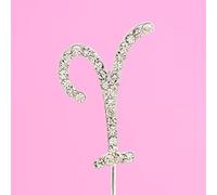 4.5cm Clear Crystal Diamante Rhinestone Cake Topper Alphabet Letters - Silver Letter Y
