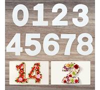 4/6/8/10 Inch 0-8 Number Cake Stencils Baking Stencils 9Pcs Large Number Cake Mould for DIY Cakes Cookies, Wedding Birthday Anniversary, Christmas Wedding Birthday Cakes Cookies Pastry(10 Inch)