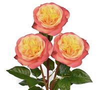 4.7'' Large Artificial Roses - Set of 3 Long-stem Real Touch Silk Flowers, 24.4" Faux Flowers for Home Decor, Wedding Bouquets, Centerpieces & Floral Arrangements - Lifelike Yellowish Pink Fake Roses