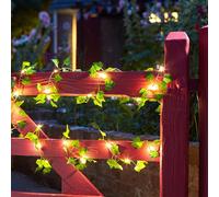4.9M Ivy Firefly Solar LED String Lights - 30 Lights