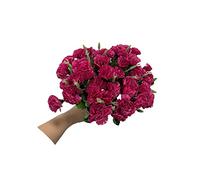 4 Bunches Bouquet of Artificial Silk Flower Carnations,12'' Bouquet and Green Leaf for Photo Props Home Party,Bridal Wedding Holding Flowers Festival Decoration with 10 Per Bunch Flower(Violet)