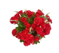 4 Bunches Bouquet of Artificial Silk Flower Carnations,12" Bouquet and Green Leaf for Photo Props Home Party,Bridal Wedding Holding Flowers Festival Decoration with 10 Per Bunch Flower(Red)