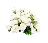 4 Bunches Bouquet of Artificial Silk Flower White Carnations Permanent Flowers,12" Bouquet and Green Leaf for Home Party,Bridal Wedding Holding Flowers Festival Decor with 10 Per Bunch Blossom