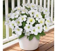 4 Bundles Artificial Fake Flowers Outdoor White Fake Silk Petunia Large