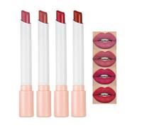 4 Colors Matte Lipstick Velvety Matte Moisturising Lipstick Sets, Waterproof Long-Lasting Color-Retention, Generic Lipstick, Moisturising With Nourishing Core, Simple Colour Lipsticks (B)