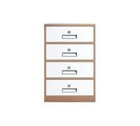 4 Drawer Steel File Cabinet - Multifunctional Storage for Office Documents, Letter/Legal/A4 Size, Space-Saving Organizer