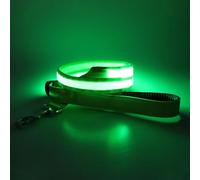 4 Ft LED Dog Lead USB Rechargeable Large Medium Pets Lesh with 3 Lighting Modes Light for Safety Night Walks Green