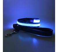 4 Ft LED Dog Lead USB Rechargeable Large Medium Pets Lesh with 3 Lighting Modes Light for Safety Night Walks Blue
