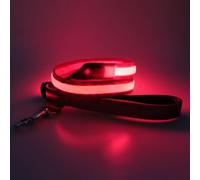 4 Ft LED Dog Lead USB Rechargeable Large Medium Pets Lesh with 3 Lighting Modes Light for Safety Night Walks Pink