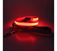 4 Ft LED Dog Lead USB Rechargeable Large Medium Pets Lesh with 3 Lighting Modes Light for Safety Night Walks Red