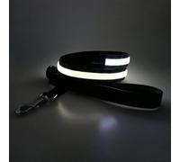 4 Ft LED Dog Lead USB Rechargeable Large Medium Pets Lesh with 3 Lighting Modes Light for Safety Night Walks White