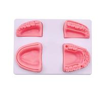 4-in-1 Suture Training Pad Designed 4 Realistic Silicone Suture Pads Multiple Wound Types Education Use Suturing Practice
