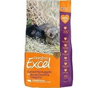 4 kg Burgess Excel Guinea Pig Food Blackcurrant & Oregano - Complete Balanced Nuggets for Healthy Digestion, Strong Immunity, Glossy Coat & Vitality - High Fiber with Vitamin C - Sold Loose