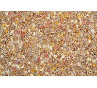 4 kg Johnston & Jeff No Mess No Grow Wild Bird Seed Mix - Premium Clean, Waste-Free, Non-Germinating Feed for Garden Birds