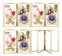 4 Pack 4x6 Inch Double Glass Picture Frame Gold Metal Pressed Photo Frames Hinged Brass Folding Picture Frames Vintage Artwork Display Frame for Pressed Flowers Artwork Certificate Plants Drawings