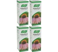 (4 PACK) - A Vogel - Echinaforce Drops | 100ml | 4 PACK BUNDLE