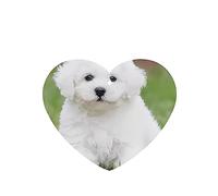 4 Pack Car Air Freshener Bichon Frise Dog Hanging Incense Chips Automotive Scented Hanging Sheets For Car Home Auto Interior Decor