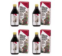 (4 PACK) - Floradix - Floravital Yeast And Gluten Fr | 250ml | 4 PACK BUNDLE