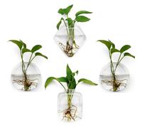 4 Pack Glass Wall Hanging Planters Plant Terrariums Indoor Wall Flower Vase Containers Wall Mounted Glass Holder Window Terrarium Wall Propagation