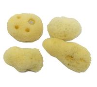 4-Pack of Hermit Crab Sea Sponges (All Natural Hermit Crab Sponge) Awesome Aquatics
