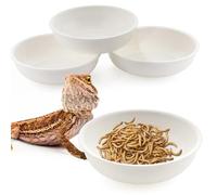 4 Pack Reptile Feeding Basin Food and Water Bowl Worm Dish for Gecko Lizard Horned Frog Tortoise Small Reptile (White)