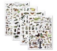 4 Pack - Vintage Insect Poster Prints - Entomology Identification Reference Charts Volume 1, 2 & 3 and Arthropods Vintage Poster Print (LAMINATED, 18” x 24”)