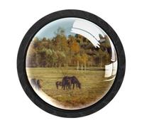 4 Packs Horse Walking Drawer Knobs, Cabinet Knob & Pulls