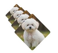 4 Pcs Car Air Fresheners Decorative Car Air Freshener Card Long Lasting Hanging Fragrance Scented Bichon Frise Dog Car Aromatherapy Tablets Rearview Mirror Pendant for Men Women