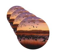 4 Pcs Car Air Fresheners Decorative Car Air Freshener Card Long Lasting Hanging Fragrance Scented Bosque del Apache Wildlife Refuge Car Aromatherapy Tablets Rearview Mirror Pendant for Men Women