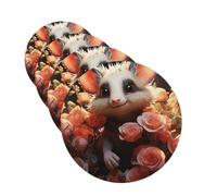 4 Pcs Car Air Fresheners Decorative Car Air Freshener Card Long Lasting Hanging Fragrance Scented Cartoon Opossum and Roses Car Aromatherapy Tablets Rearview Mirror Pendant for Men Women