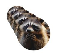 4 Pcs Car Air Fresheners Decorative Car Air Freshener Card Long Lasting Hanging Fragrance Scented Cute Raccoon Car Aromatherapy Tablets Rearview Mirror Pendant for Men Women