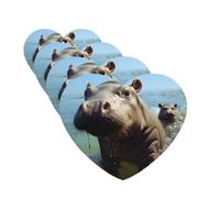 4 Pcs Car Air Fresheners Decorative Car Air Freshener Card Long Lasting Hanging Fragrance Scented Cute Baby Hippos Car Aromatherapy Tablets Rearview Mirror Pendant for Men Women