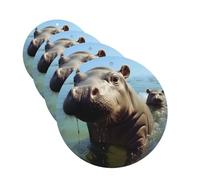 4 Pcs Car Air Fresheners Decorative Car Air Freshener Card Long Lasting Hanging Fragrance Scented Cute Baby Hippos Car Aromatherapy Tablets Rearview Mirror Pendant for Men Women