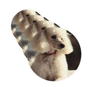 4 Pcs Car Air Fresheners Decorative Car Air Freshener Card Long Lasting Hanging Fragrance Scented French Poodle Car Aromatherapy Tablets Rearview Mirror Pendant for Men Women