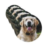 4 Pcs Car Air Fresheners Decorative Car Air Freshener Card Long Lasting Hanging Fragrance Scented Funny Golden Retriever Car Aromatherapy Tablets Rearview Mirror Pendant for Men Women