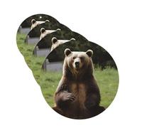 4 Pcs Car Air Fresheners Decorative Car Air Freshener Card Long Lasting Hanging Fragrance Scented Hi Bear Sit on the Lawn Car Aromatherapy Tablets Rearview Mirror Pendant for Men Women