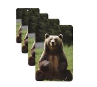 4 Pcs Car Air Fresheners Decorative Car Air Freshener Card Long Lasting Hanging Fragrance Scented Hi Bear Sit on the Lawn Car Aromatherapy Tablets Rearview Mirror Pendant for Men Women