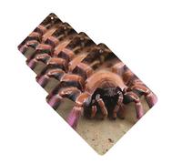4 Pcs Car Air Fresheners Decorative Car Air Freshener Card Long Lasting Hanging Fragrance Scented Large Mexican Tarantula Car Aromatherapy Tablets Rearview Mirror Pendant for Men Women