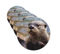 4 Pcs Car Air Fresheners Decorative Car Air Freshener Card Long Lasting Hanging Fragrance Scented Otter Playing in The Water Car Aromatherapy Tablets Rearview Mirror Pendant for Men Women