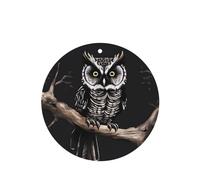 4 Pcs Car Air Fresheners Hanging Air Freshener Fragrance Scented Cards Tablets Late Night Owl Car Freshener Interior Mirror Pendant for Women Men