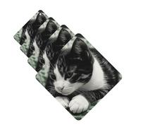 4 Pcs Car Air Fresheners Hanging Fragrance Scented Cards for SUV Black and White Cat Car Aromatherapy Tablets Auto Interior Mirror Pendant for Bedroom Wardrobe Shoe Cabinet