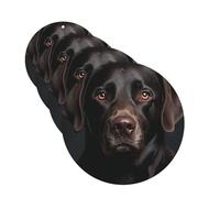 4 Pcs Car Air Fresheners Hanging Fragrance Scented Cards for SUV Black Lab Dog Car Aromatherapy Tablets Auto Interior Mirror Pendant for Bedroom Wardrobe Shoe Cabinet