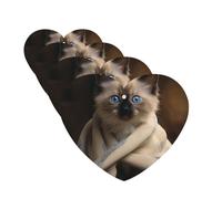 4 Pcs Car Air Fresheners Hanging Fragrance Scented Cards for SUV Cat on Blanket Car Aromatherapy Tablets Auto Interior Mirror Pendant for Bedroom Wardrobe Shoe Cabinet